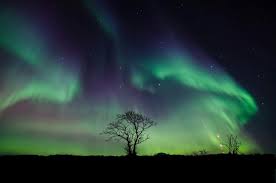 Will you make 2018 the year you see the northern lights? Northern Lights 2020 These Are The Best Places To See Them In The Uk The Argus