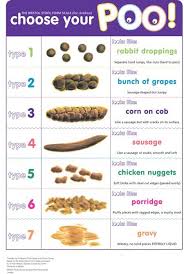 bristol stool chart kid friendly bristol stool scale