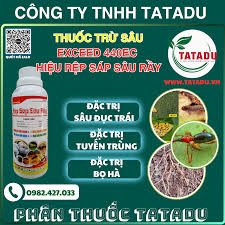 Exceed 440EC