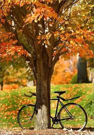 Nice Herbstbilder Herbst Bilder Herbst