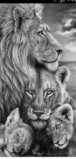 Black And White Lion And Lioness Picture 65 Trendy Tattoo Lion Lioness Strength Lion King Art Lioness Tattoo Lion Tattoo Design