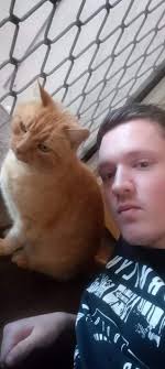 DOG REUNITED WITH OWNER Female dog found, came up to us