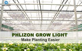 A medicine cat's main job is to heal their fellow clanmates of their wounds and sicknesses. Phlizon 3000w Full Spectrum Led Cob Grow Light For Greenhouse And Indoor Plant Flowering Growing X6 Cob Grow Lamp Commerical Buy Phlizon 3000w Led Full Spectrum Grow Light Cob Spectrum Cob
