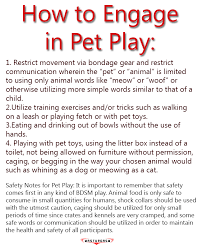 Want to discover art related to petplay? A Short Guide To Pet Play Masturgasm Online