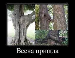 Весна пришла - Супер Демотиваторы - Подборка лучших демотиваторов сети