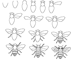 Bees Grade 2 Bee Drawing Bee Art Flower Drawing