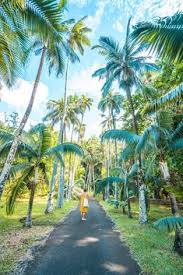 Mauritius Roadtrip In 9 Tagen Mit Dem Mietwagen Auf Eigene Faust Mauritius Urlaub Reise Mauritius Mauritius Insel