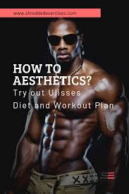 Best Diet Plan And Workout Routine By Ulisses Jr Workout Programs Workout Routine 12 Week Workout Plan