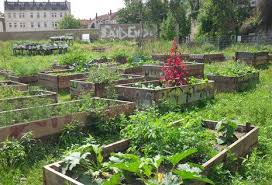 Urban Gardening In Leipzig Stadtisch Gardening Garten