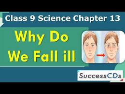 Why a person suffering from aids cannot fight even small infections? Why Do We Fall Ill Class 9 Science Chapter Notes Explanation Question Answers