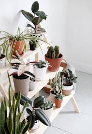 Wimarsbon 44 foldable plant shelf,plant stand,indoor flower pot holder,flower pot ladder,folding display shelf,patio rustic wood stand with shelves,4 tier stand outdoor,pot rack, free standing. Diy Ladder Plant Stand The Merrythought
