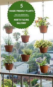 5 Shade Friendly Plants You Can Grow On A North Facing Balcony Plants North Facing Garden Balcony Garden