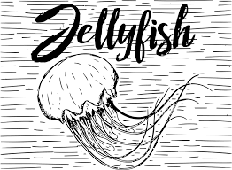 Download Jellyfish Design Ocean Free Vector Graphic On Pixabay