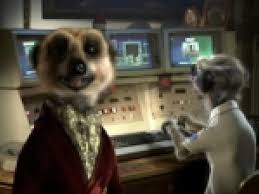 Here are 10 car insurance hacks the providers d. How Did A Meerkat Bowl Over Brits It S Simples Ad Age