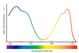 Action Spectrum Med Led Grow Lights Led Grow Grow Lights