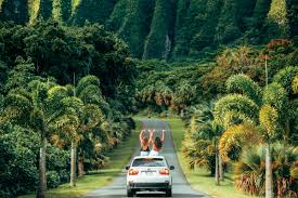 Cars tab 1 of 4 selected; How To See Hawaii On A Budget Hawaii Magazine