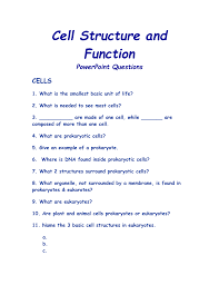 Cell Structure And Function