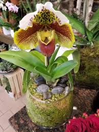 Explore upper east side restaurants. Tj Flowers Events 1640 York Ave New York Ny Florists Mapquest