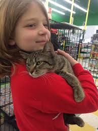 Our boy has a name! One of my virtual students, Leah, noticed his vivid  striping and suggested Pickett, like the fence but with two T's like  Pickett the Bowtruckle. Since we already