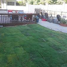 We did not find results for: The 10 Best Lawn Care Services In Athens Ga With Free Quotes
