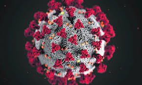 R?cup?ration heures suppl?mentaires pendant pr?avis. Vos Droits Face Au Coronavirus Sev Online