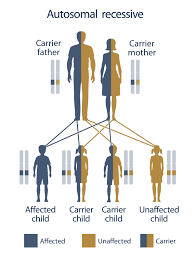 Hereditary Hemochromatosis By Michelle Woodfield Infographic