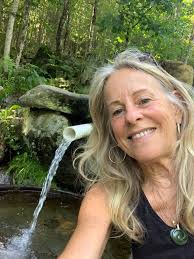 The Story of Bethel Springs Water Company in Bethel Township