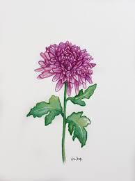 Birth Flowers For Each Month Tattoos Chrysanthemum November Birthday Flower Original Watercolor Etsy In 2020 Birth Month Flowers Birth Flower Tattoos Month Flowers