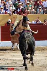 Pin De Raul Herrera En Si A Los Toros Toros De Lidia Toros Arte Taurino