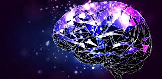 Built by trivia lovers for trivia lovers, this free online trivia game will test your ability to separate fact from fiction. The Basic Neuroscience Trivia Quiz Proprofs Quiz