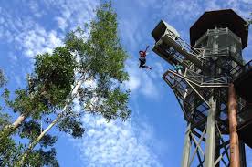 Penang Escape Theme Park Teluk Bahang Theme Park Adventure Park Kids Vacation