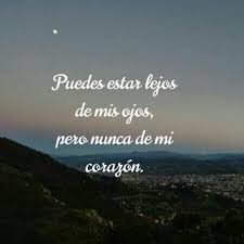Pin En Trex