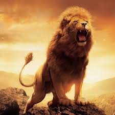 1080x1920 cool lion wallpaper with totem tattoo!. Lion Roar Wallpapers Wallpaper Cave