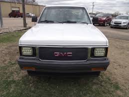 Image result for Tan 1991 Sonoma