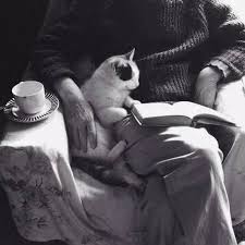 Cay Icen Bebek Kokusu Seven Ile Ilgili Gorsel Sonucu Chats Et Chatons Animales Chats Adorables