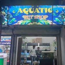 Pet & aquatic warehouse was started in november of 1997. Aquatic Pet Shop Ghatlodiya Aquariums In Ghatlodia Ahmedabad Justdial