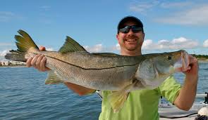Fishing the beach for big snook is an absolute hoot. Snook Fishing Charters