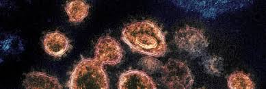 Your feedback and comments may be posted as customer voice. Covid 19 An Infected Person May Infect Others Till 22 Days