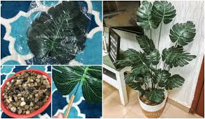 Tapi ramai yang tak tahu bahawa tanaman ini sebenarnya beracun. Tak Sampai Rm 50 Anda Dah Boleh Diy Pokok Hiasan Viral Letak Dalam Rumah