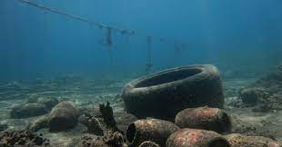 Paling tidak ada sekitar 200 pulau kecil serta karang di laut ini yang pernah berhasil didata sekaligus menjadi kekayaan dari laut ini. Plastik Ditemukan Dalam Perut Hewan Di Palung Laut Terdalam Okezone Techno