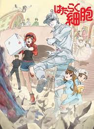 Hataraku Saibou Vol 1 13 End Very Buy Anime Anime Characters Anime Dvd