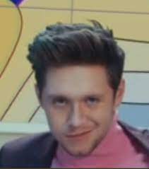 Pin By Hannah Flis On Nialler One Direction Pictures One Direction Memes One Direction Photos