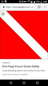 Black And Red Flag Meaning Impressive What Does A Red Flag With A Diagonal White Stripe Mean And Ba What Does A Red Flag With In 2020 Red Flag White Stripe Stripe