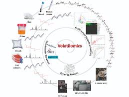 We offer a variety of products including proteomass maldi calibration kits, maldi mass spectrometry calibrants, maldi matrices, our protease profiler and guanidination kits, and trypsin. The Potential Of Volatile Organic Compounds 2020 Wiley Analytical Science