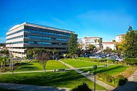 Check spelling or type a new query. Catholic University Of Portugal Wikipedia
