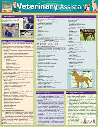 Veterinary Assistant Thought Process Very Interesting For All Animal Owners Veterinary Assistant Vet Medicine Veterinary