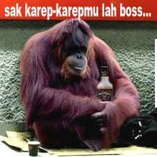 33 Gambar Komen Fb Terbaru Bahasa Jawa Gambar Lucu Terbaru Gambar Lucu Gambar Lucu