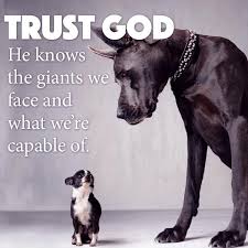 Image result for Tricks, trades, rotten apples, beans and nuts,heads to count, family affairs, pigs, hogs, hoes, snakes in grass, spiders and worms, under the skin.