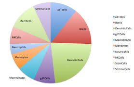 how to create weighted pie chart with ggplot2 stack overflow