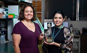 Glass service in brownsville, texas. The Newsroom Utrgv Professor Student Publish Paper On Spiky Cavesnail Discovery In Central Texas
